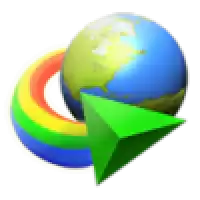 Internet Download Manager (IDM)